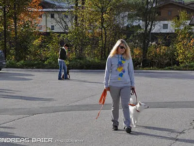 Hundechallenge Bild 69